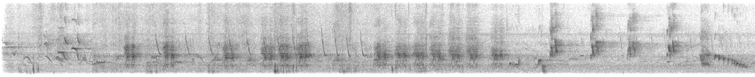 Northern Mockingbird - ML636607337