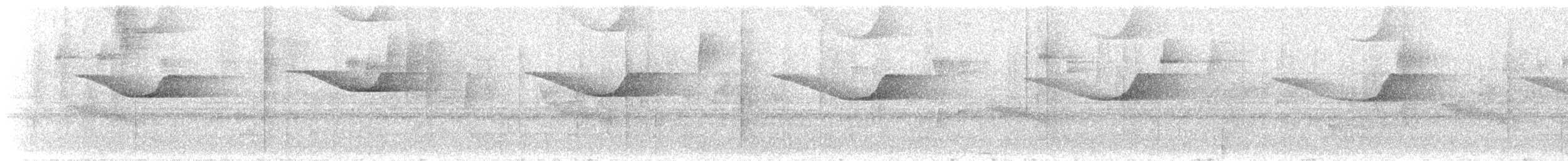 Brazilian Laniisoma - ML636608372