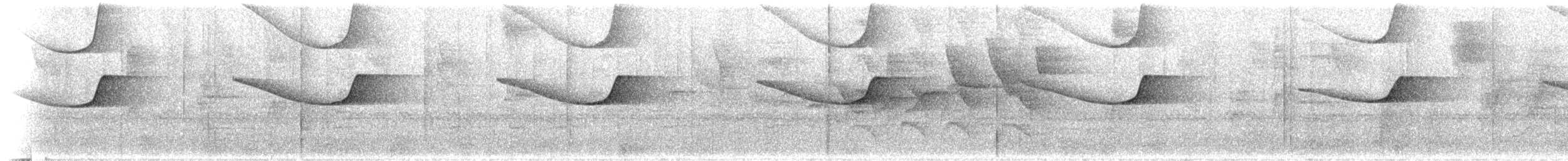 Brazilian Laniisoma - ML636608376