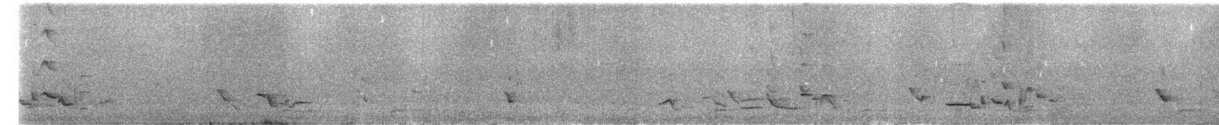 Red-winged Starling - ML636608732
