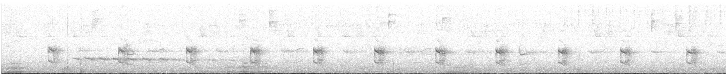 Oxapampa Antpitta - ML636608745