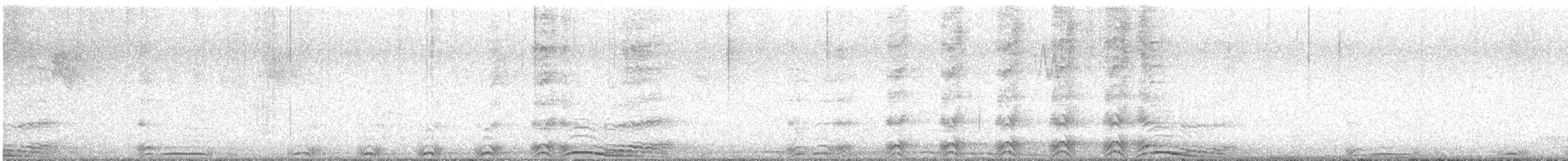 Barred Owl - ML636612505
