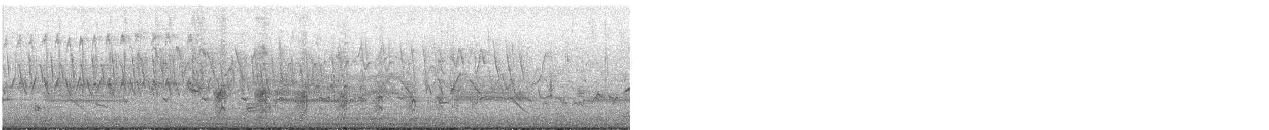 chřástal virginský - ML636613246