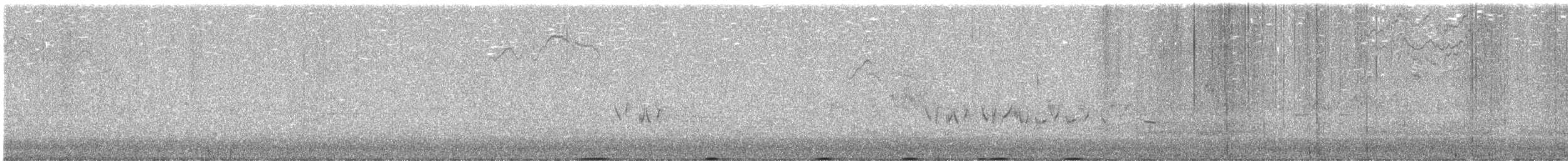 Sooty Grouse - ML636613768