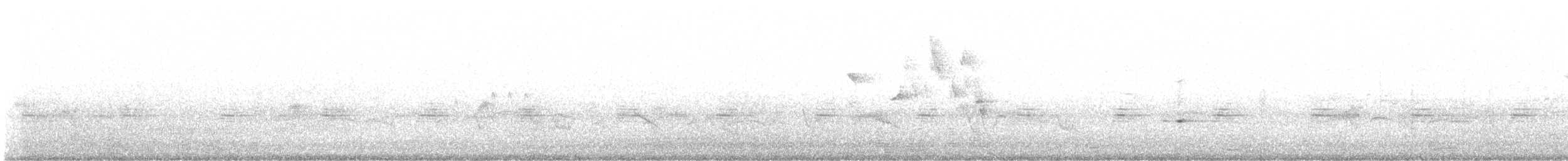 Black-faced Grassquit - ML636615149