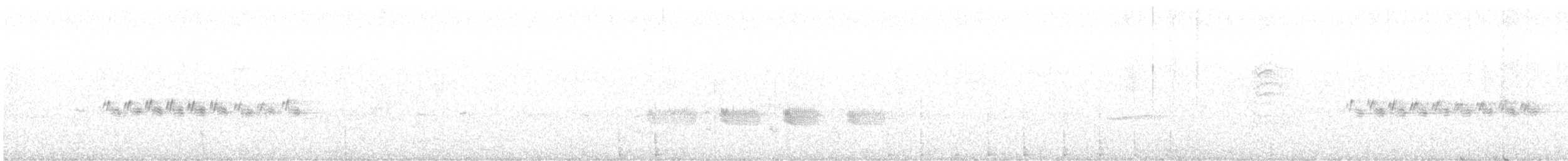 イワミソサザイ - ML636615216