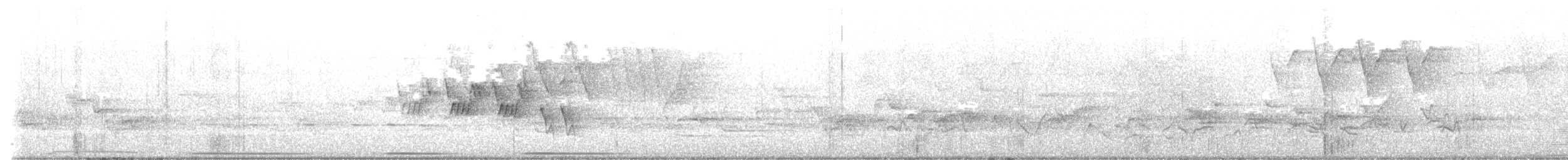 Mourning Warbler - ML636616123