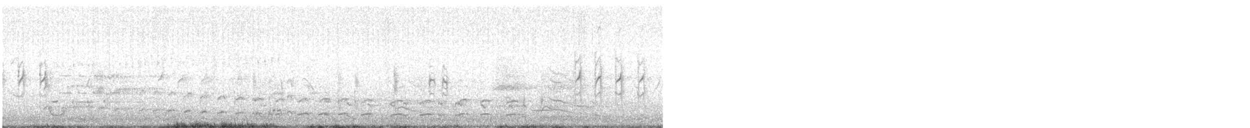 Polluela Sora - ML636617068