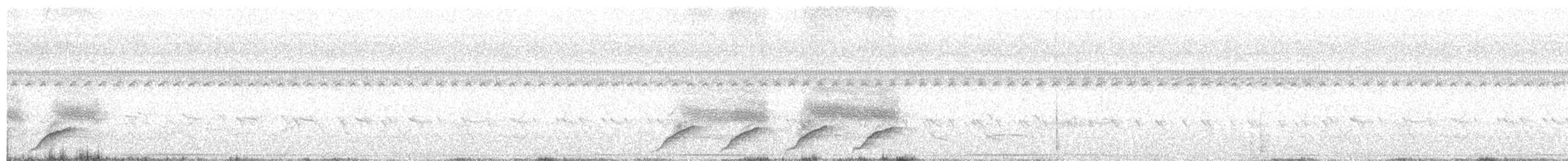 Black-capped Donacobius - ML636617188