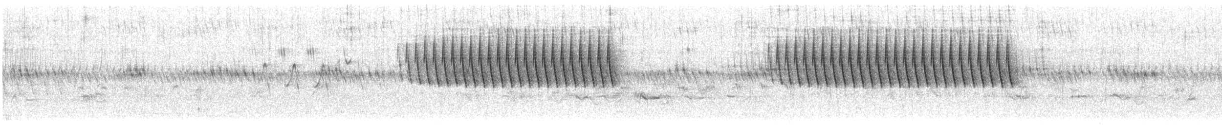 Chipping Sparrow - ML636618269