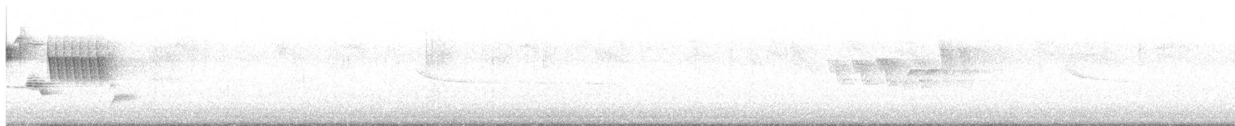 Song Sparrow - ML636619299
