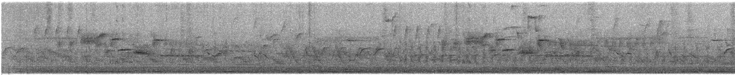 Bewick's Wren - ML636619903