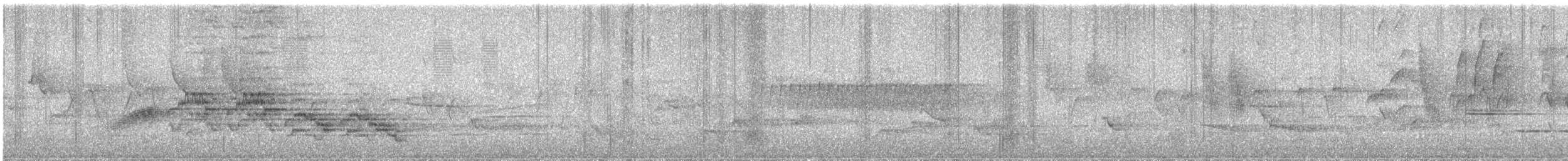 Veery - ML636619955