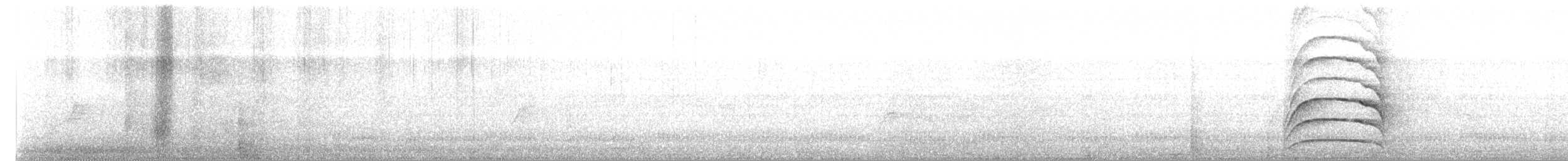 Büyük Kiskadi Tiranı - ML63662001
