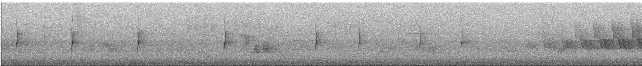 Song Sparrow - ML636622636