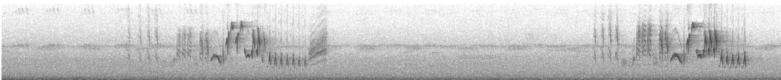 Northern House Wren - ML636623397