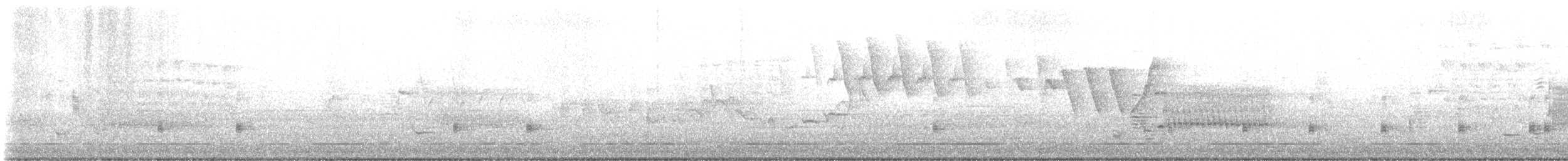 Virginia Rail - ML636625548