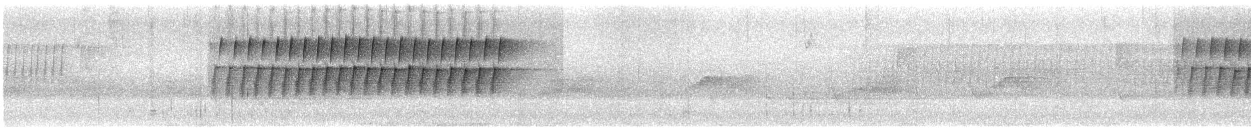 Schwirrammer - ML636626099