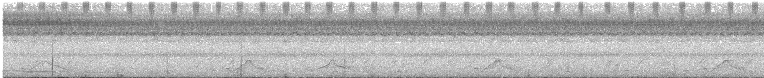 Common Pauraque - ML636629732