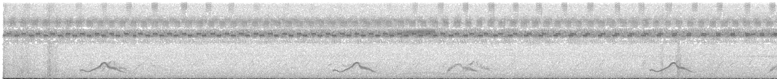 Common Pauraque - ML636629948