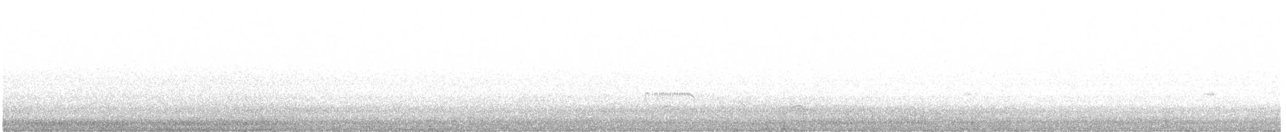 ハマシギ - ML636632222
