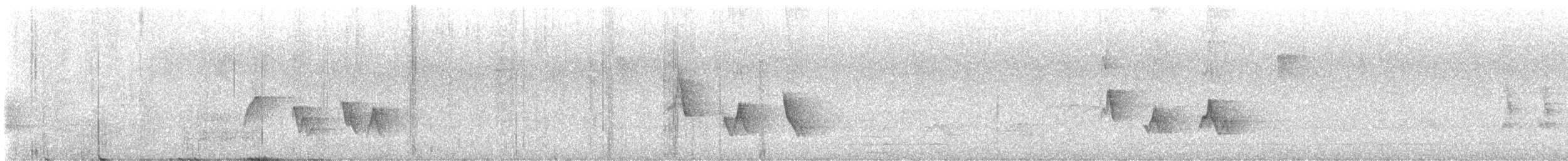 Black-whiskered Vireo - ML636635340