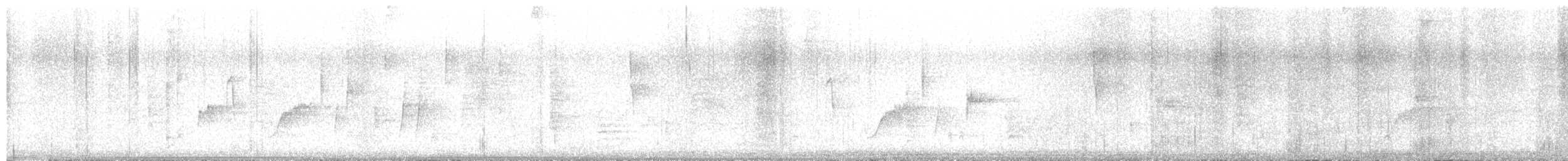 Northern Waterthrush - ML636636771
