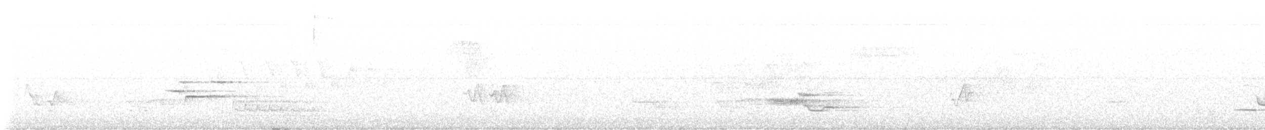 Wood Thrush - ML636637685