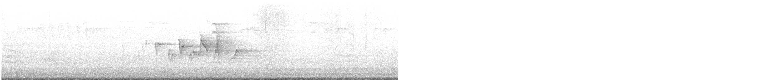 Canada Warbler - ML636637948