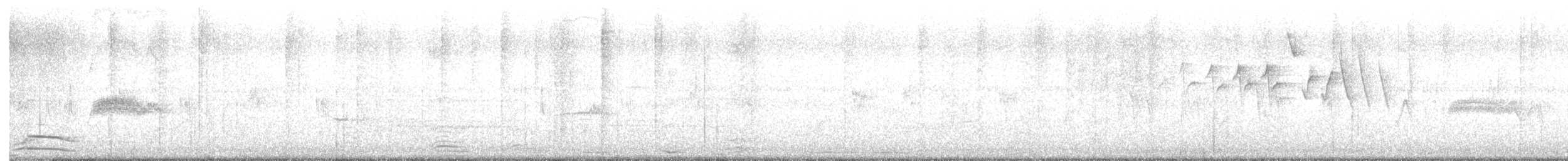 Western Wood-Pewee - ML636638330