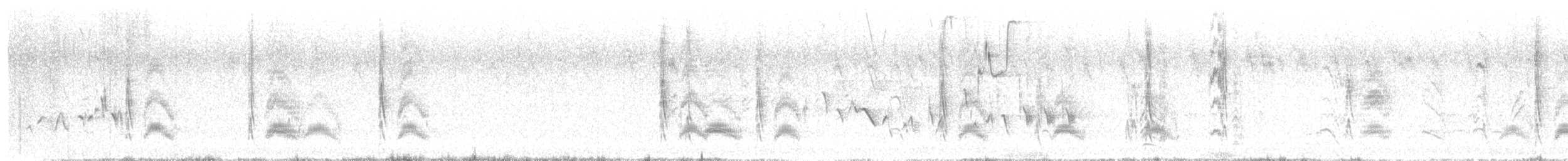 ハシボソタイランチョウ - ML636644203