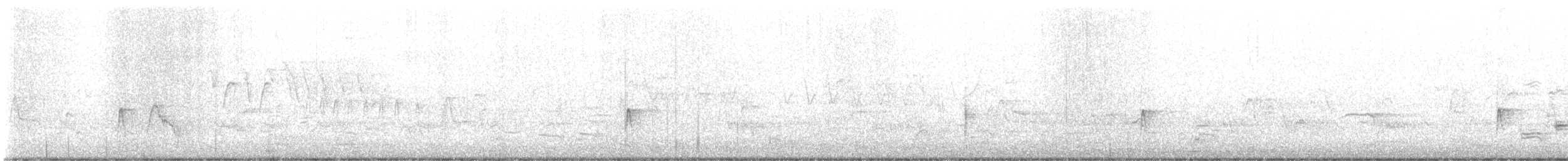 Alder/Willow Flycatcher (Traill's Flycatcher) - ML636645097