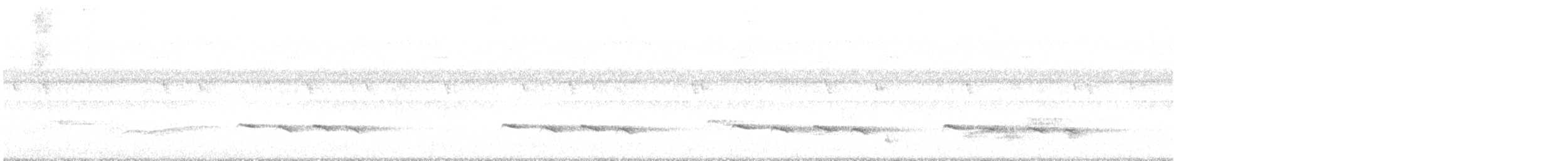kukačka proužkovaná - ML636645418