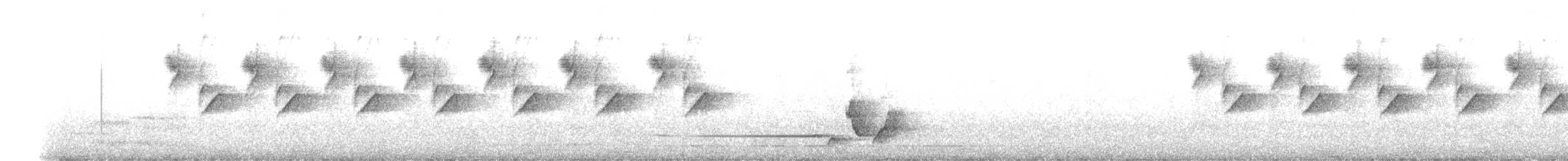 Japanese Bush Warbler - ML636646630