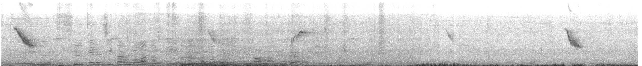 White Wagtail (Black-backed) - ML636646992