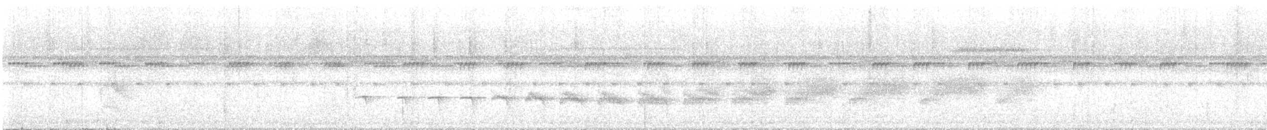 Peruvian Warbling-Antbird - ML636647329