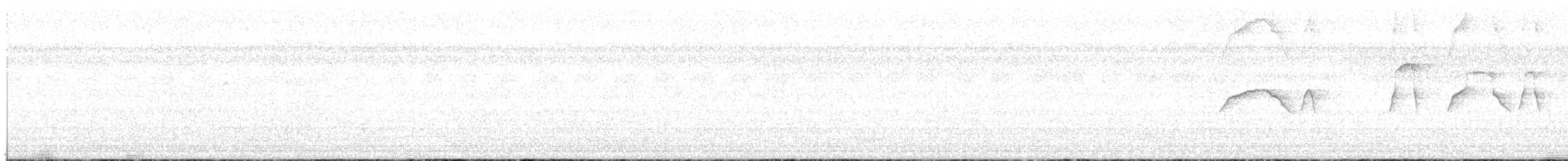 Harpage bidenté - ML636651140