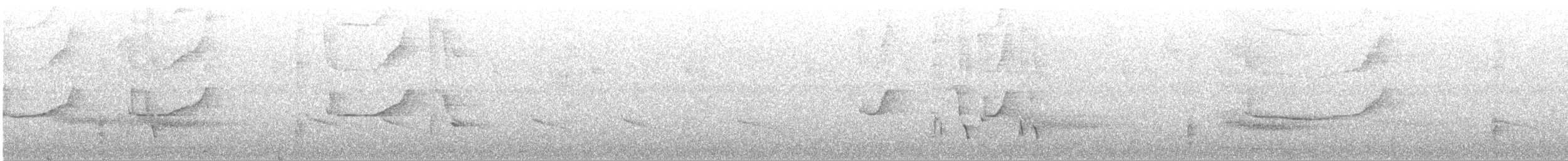 Red-bellied Grackle - ML636652785