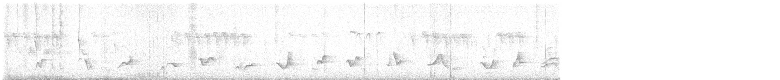 Rivoli's Hummingbird - ML636653435