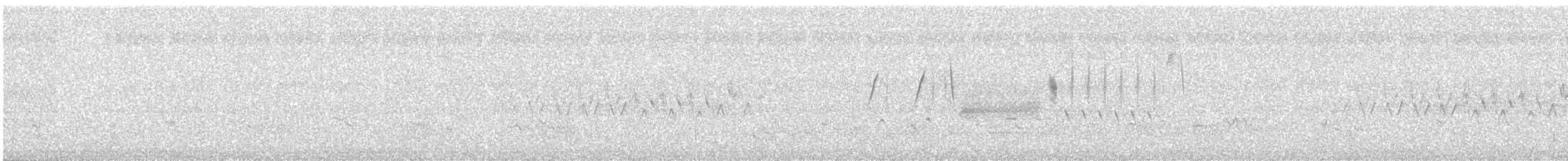 Stockente - ML636654749