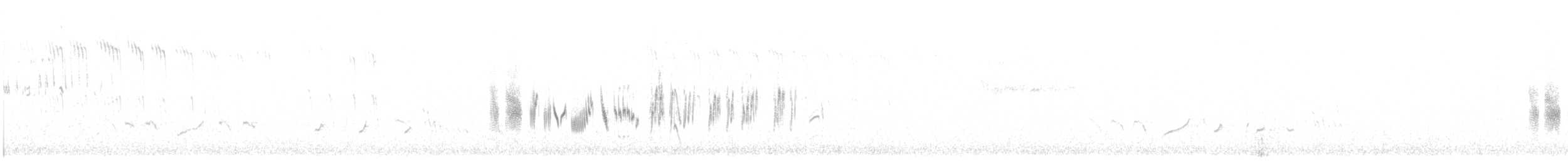 Traquet noir et blanc - ML636654810