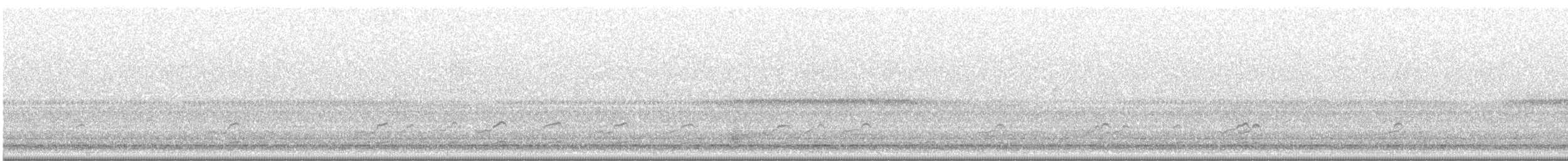 Red Knot - ML636658429