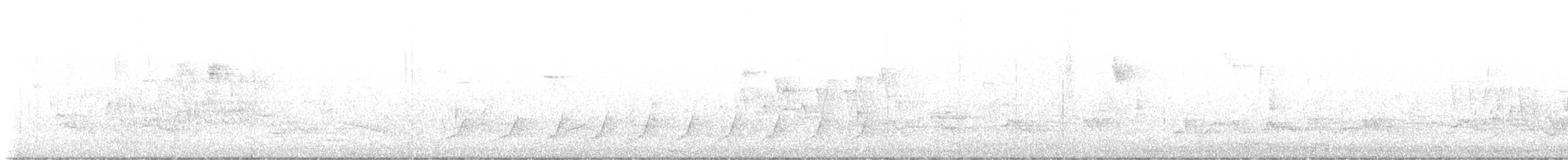 Connecticut Warbler - ML636658979