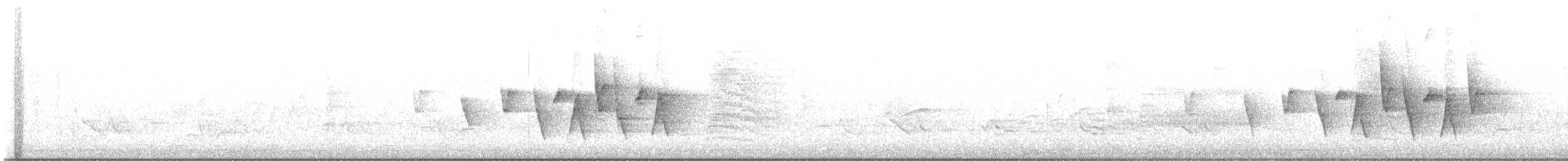 Connecticut Warbler - ML636658980