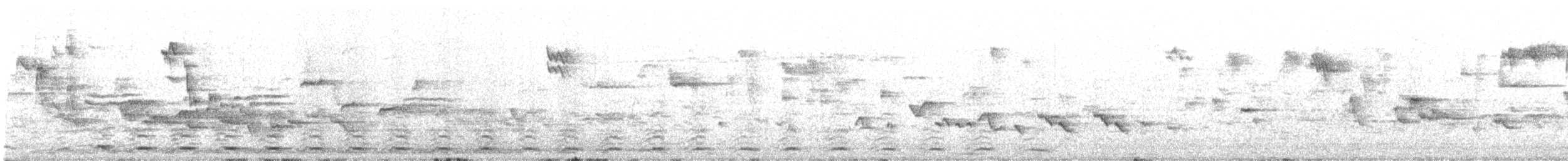 Cygne tuberculé - ML636659114
