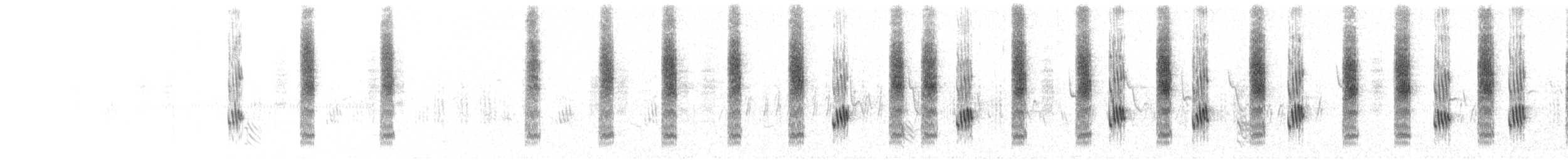 Sedge Warbler - ML636660891
