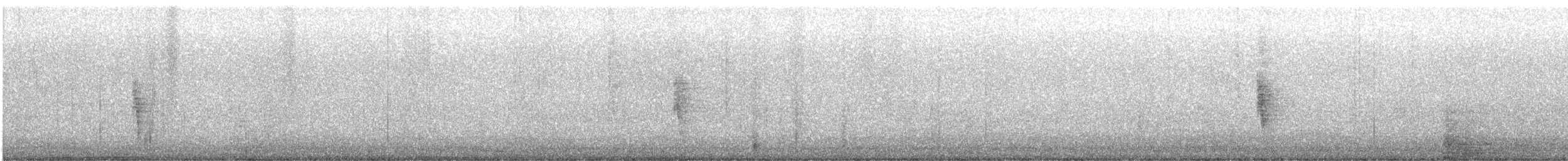 Northern Mockingbird - ML636662881