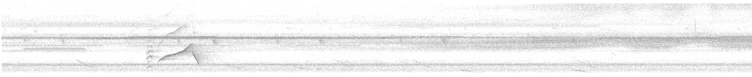 Common Hill Myna - ML636662884