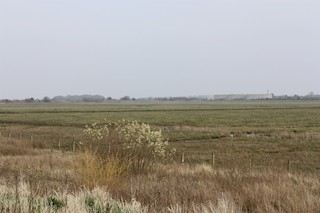 Marshside RSPB Reserve, Merseyside, England, United Kingdom - eBird Hotspot