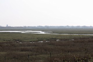 Marshside RSPB Reserve, Merseyside, England, United Kingdom - eBird Hotspot